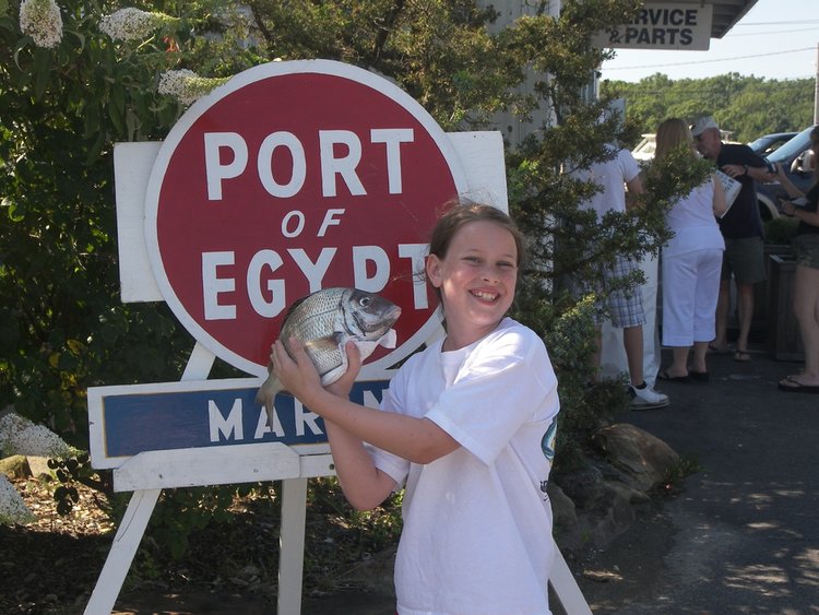 Port of Egypt Marine Story